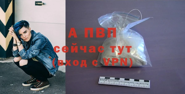 дживик Ессентукская